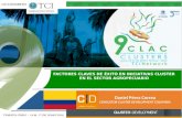 TCILatinAmerica16 Factores Claves de Éxito en Iniciativas Clusters en el Sector Agropecuario