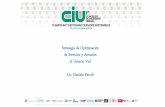 Estrategia para la Optimización de la Atención y los Servicios al Usuario en la Red Vial Argentina - Lic. Daniela Parodi