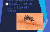 Este mosquito es portador  de un virus llamado
