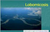 Clase 11 micologia lobomicosis
