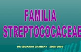 Familia streptococaceae 2008