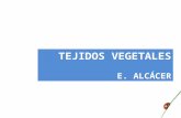 Tejidos vegetales EAT (2016)