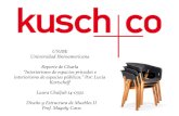 Kusch Co - Reporte de Charla
