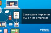 Netex Seminario NGL2016 | Claves para implantar ple en las empresas [ES]