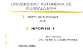 Hipofisis i-12