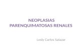Neoplasias parenquimatosas renales