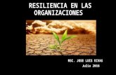 Resiliencia en las organizaciones