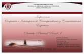Inspecciones  Ocupación e Intercepción de Correspondencia y Comunicaciones Experticia.