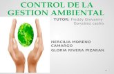 Diapositivas control de gestión ambiental