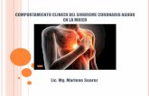 Sindrome coronario agudo en la mujer  - Lcda. Mg. Marlene Suarez