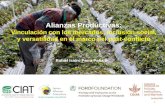 Alianzas Productivas: Vinculación con los mercados, inclusión social y versatilidad en el marco del post-conflicto