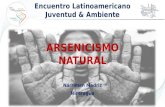Arcenicismo natural - Narriman Paola Madriz