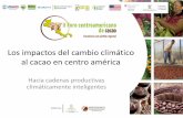 S3.p1.1 Los impactos del cambio climático al cacao en Centroamérica