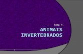 Ciencias Naturais. Animais invertebrados.