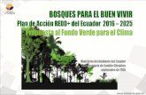 Bosques para el buen vivir: Plan de acción Redd+ del Ecuador 2016-2025. Propuesta para el Fondo Verde del Clima