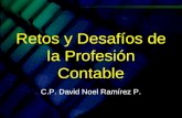 David noel perfil_del_contador_publico