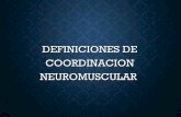 Presentacion coordinacion neuromuscular