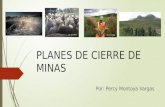 Plan de Cierre de Minas - Perú