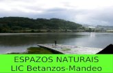 Lic Betanzos-Mandeo