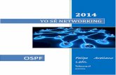 Yo se-networking-ospf-doc v3 felipe arellano leon