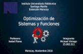 Optimización de Sistemas y Funciones (Conceptos Básicos)
