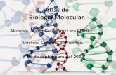 Atlas de biologia molecular mglc.