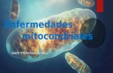 Enfermedades  mitocondriales