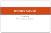 Biologia celular nº 8- Prof. Amilcar Sousa
