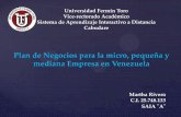Plan de Negocios para la micro, pequeña y mediana empresa en Venezuela