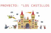 Proyecto "LOS CASTILLOS"