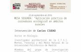 C-16-2_8. Análisis de corredores ecológicos para el lince ibérico - Carlos Ciudad Trilla (ETSIM UPM)