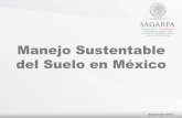 Manejo Sustentable del Suelo en México, SAGARPA, México