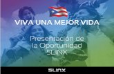 5LINX Puerto Rico Opportunity Presentation (Spanish)