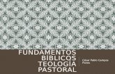 Fundamentos bíblicos teología pastoral