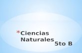 Ciencias naturales 5to b