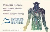 Topografia abdominal y peritoneal - Esteban torres