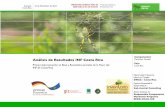 Apoyo Técnico Inventario Nacional Forestal - Costa Rica - SudAustral