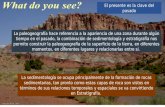 Introduccion a la sedimentologia y estratigrafia por Christian romero