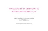 NOVEDADES EN TEST DE DETECCIÓN DE MUTACIONES DE BRACA 1 Y 2
