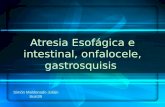 Atresia esofagica e intestinal, gastrosquisis,onfalocele en pediatria