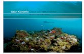 Guia de Inmersiones en Gran Canaria - La Gran Isla