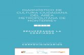 Informe diagnóstico de Cultura Ciudadadana monterrey 2015