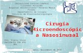Cirugía Microendoscópica Nasosinusal