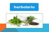Herbolario (plantas medicinales)