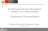 El Presupuesto por Resultados (PpR) y sus instrumentos. Programas Presupuestales / Ministerio de Economía y Finanzas (Perú)