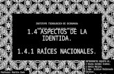 1.4 Aspectos de la identidad y 1.4.1 Raíces Nacionales