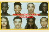 Variación y razas humanas