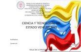 Infografia acerca de la ciencia y tecnología del estado venezolano