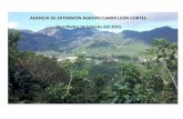 Informe Agencia de Extensión León Cortes
