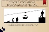 Currículum TVA (Transició a la Vida Adulta) CCEE